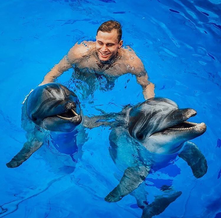 Фото с дельфинами Севастополь 
