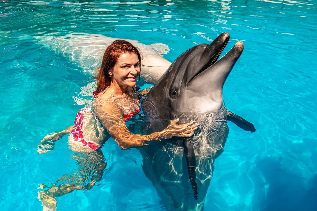 Дельфинарий крым официальный сайт. Плавание с дельфинами 