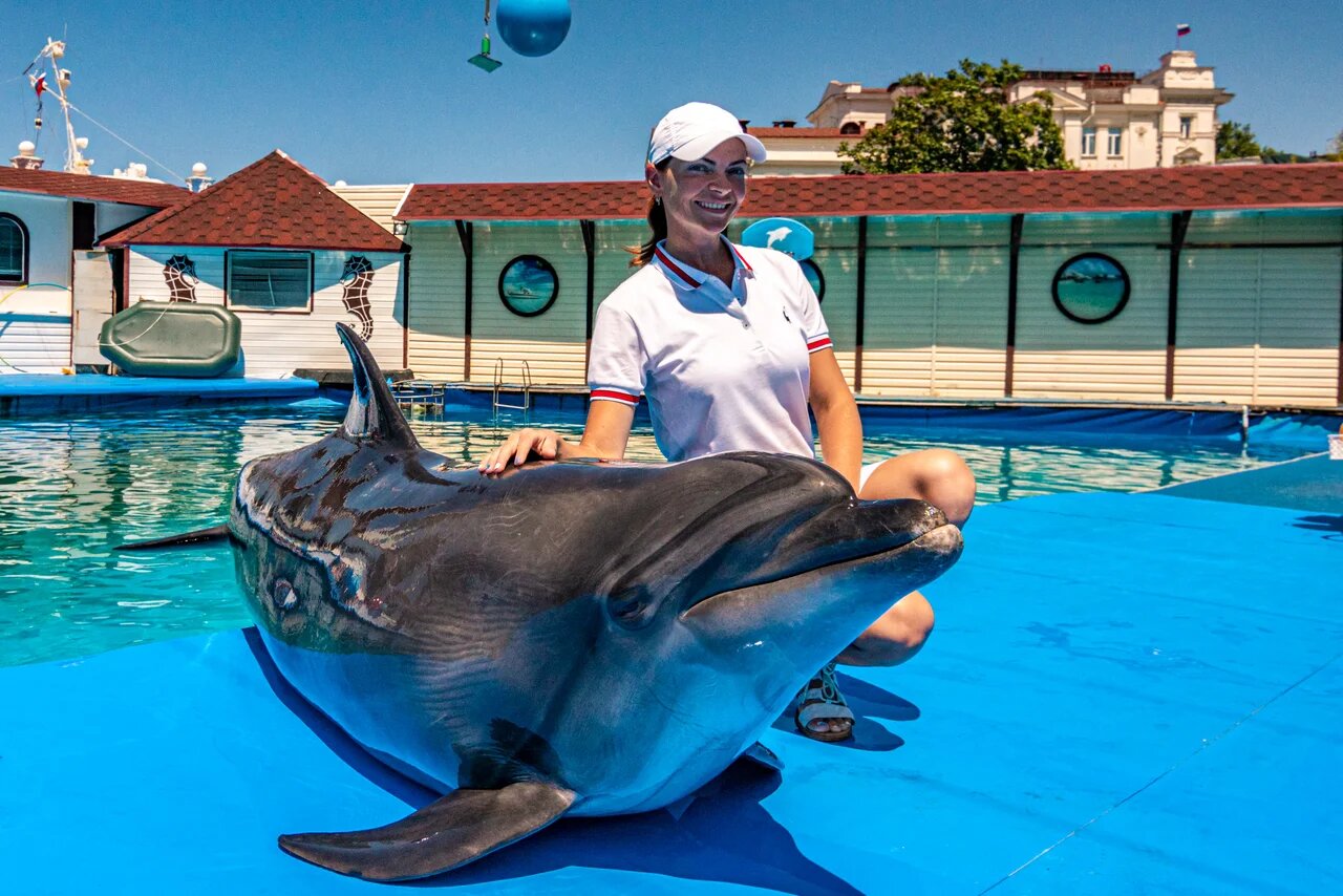 Общение с дельфинами Севастополь Крым