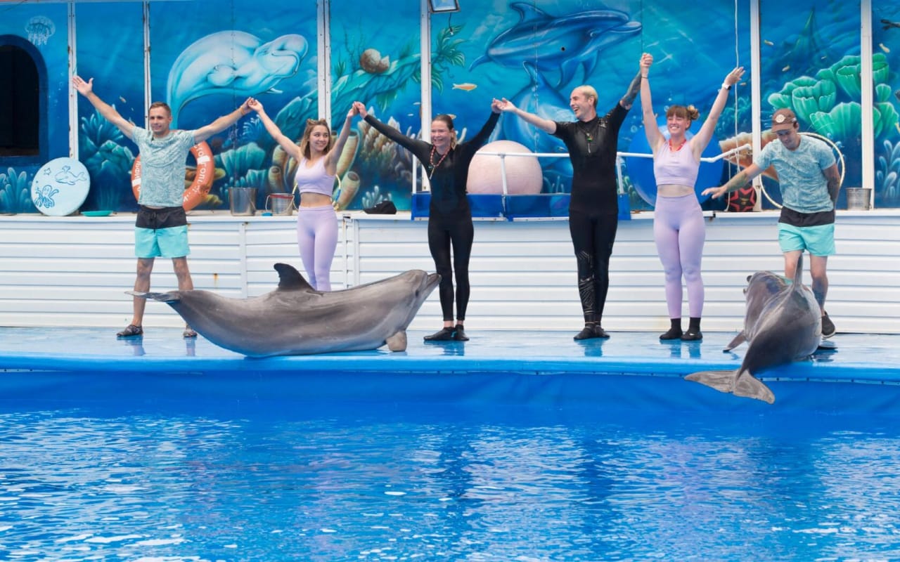 Шоу дельфинов Севастополь официальный сайт