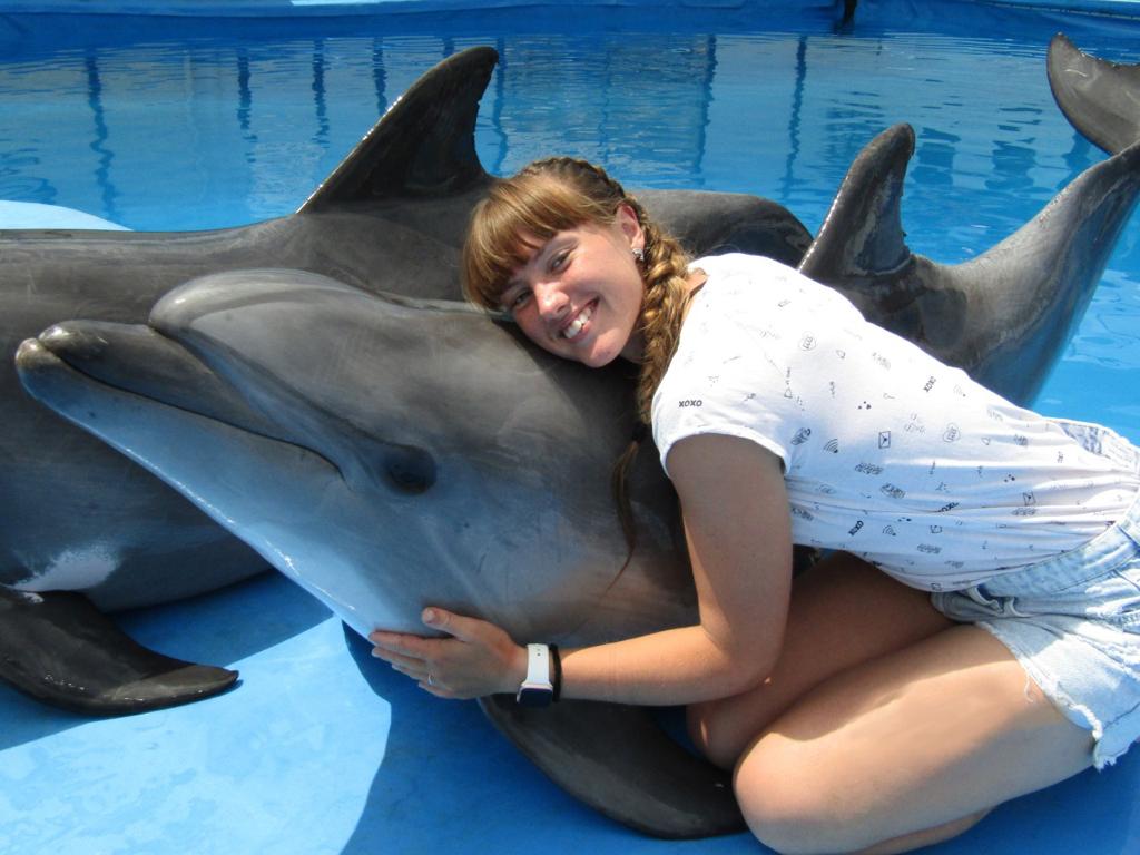 Общение с дельфинами в Арт Бухте Севастополь