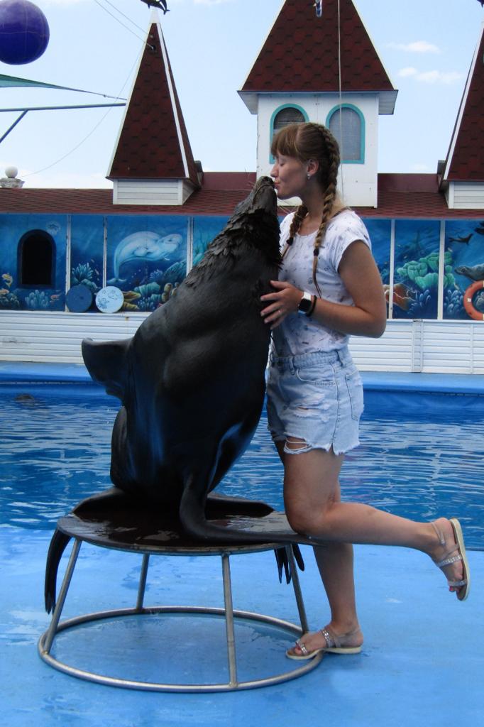 Шоу дельфинов в Севастополе Арт Бухта